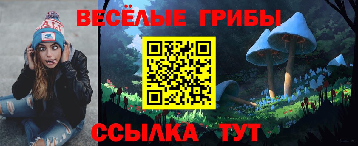 Туймазы  Псилоцибиновые грибы MAGIC MUSHROOMS  Вход с VPN 